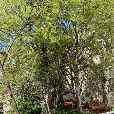 Apartment Le Cocon De Clara